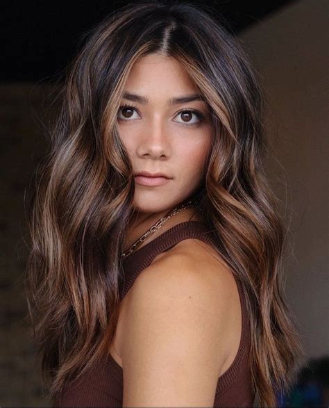 2024 hair color trends brunette|More.